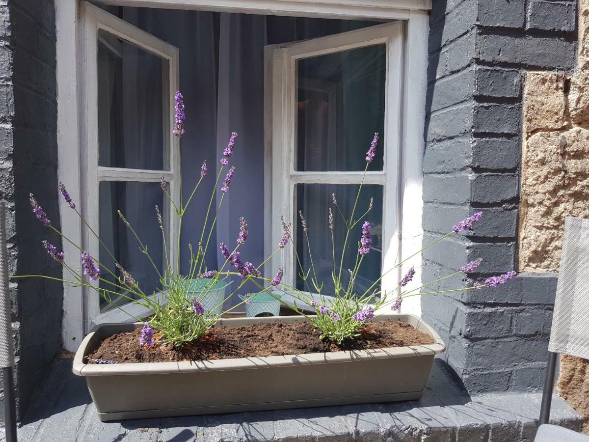 Apartamenty Klimacik カルパッチ エクステリア 写真